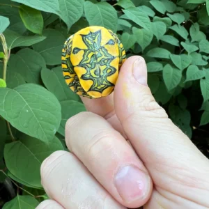 Alternative view of D'Orbigny's Slider Baby (Trachemys dorbigni)