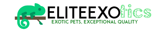 Primier Elite Exotics